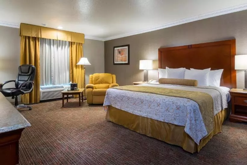 اتاق اجرایی با تخت بزرگ, Best Western Plus Newport Mesa Inn