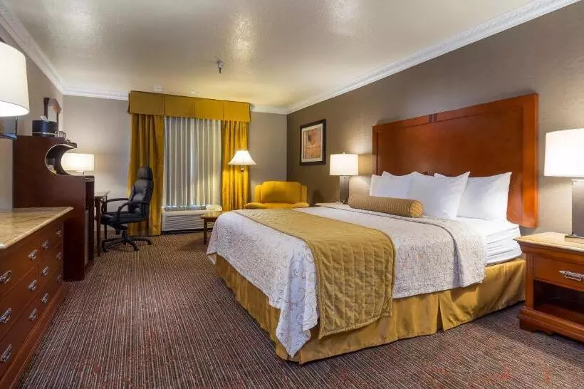 اتاق استاندارد با تخت بزرگ, Best Western Plus Newport Mesa Inn