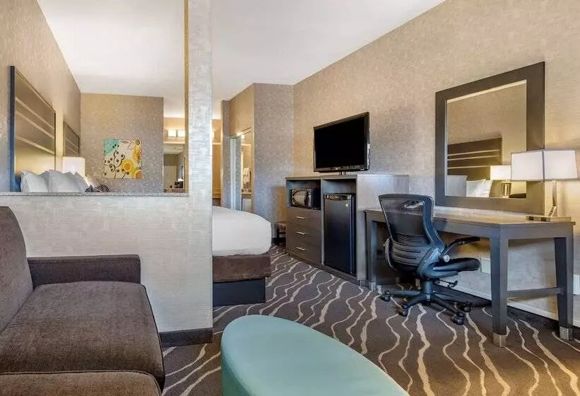 Standard-huone, Best Western Plus Park Place Inn Mini Suites