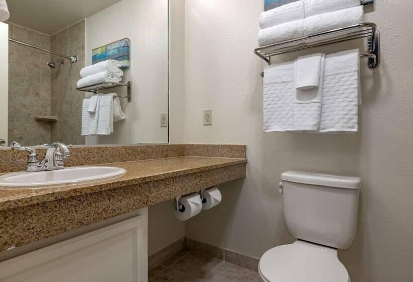 غرفه قياسيه سريرين مزدوجين, Best Western Plus Park Place Inn Mini Suites