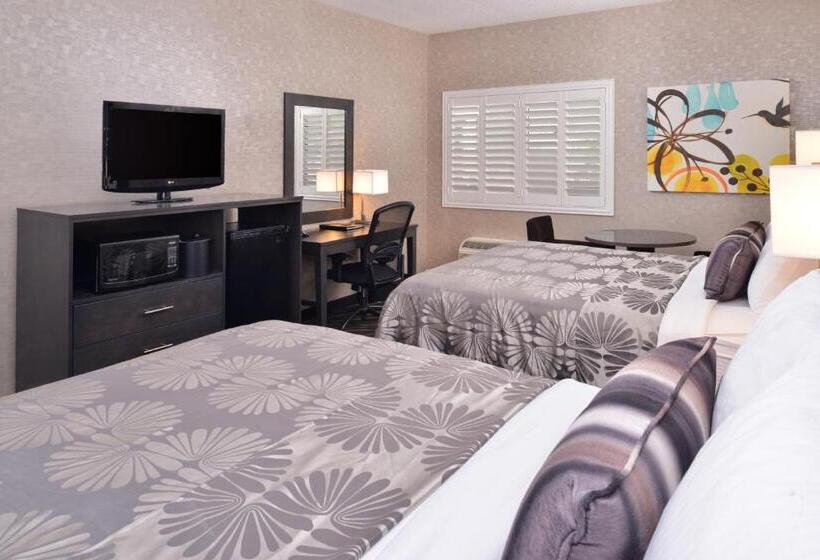 غرفه قياسيه سريرين مزدوجين, Best Western Plus Park Place Inn Mini Suites