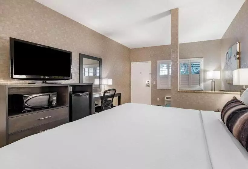Standard-huone King-vuode, Best Western Plus Park Place Inn Mini Suites