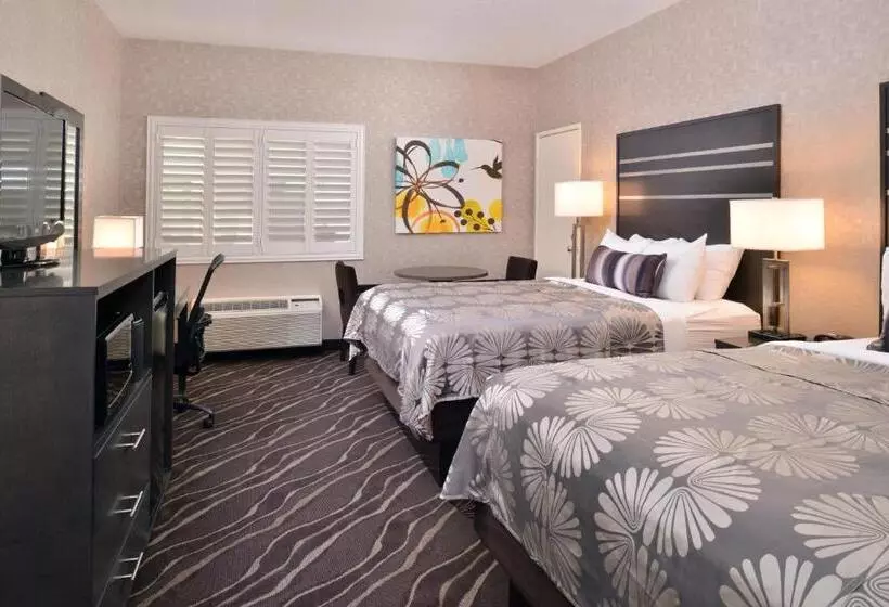 Standard-invahuone, Best Western Plus Park Place Inn Mini Suites
