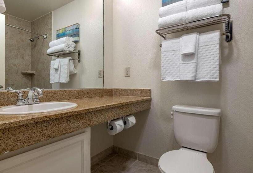 Chambre Standard Adaptée aux Personnes à Mobilité Réduite, Best Western Plus Park Place Inn Mini Suites