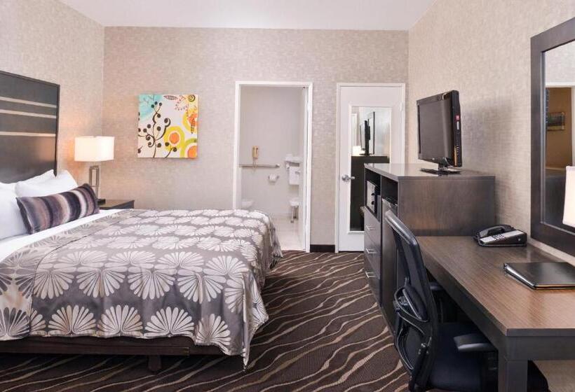 Chambre Standard Lit King Size Adaptée aux Personnes à Mobilité Réduite, Best Western Plus Park Place Inn Mini Suites