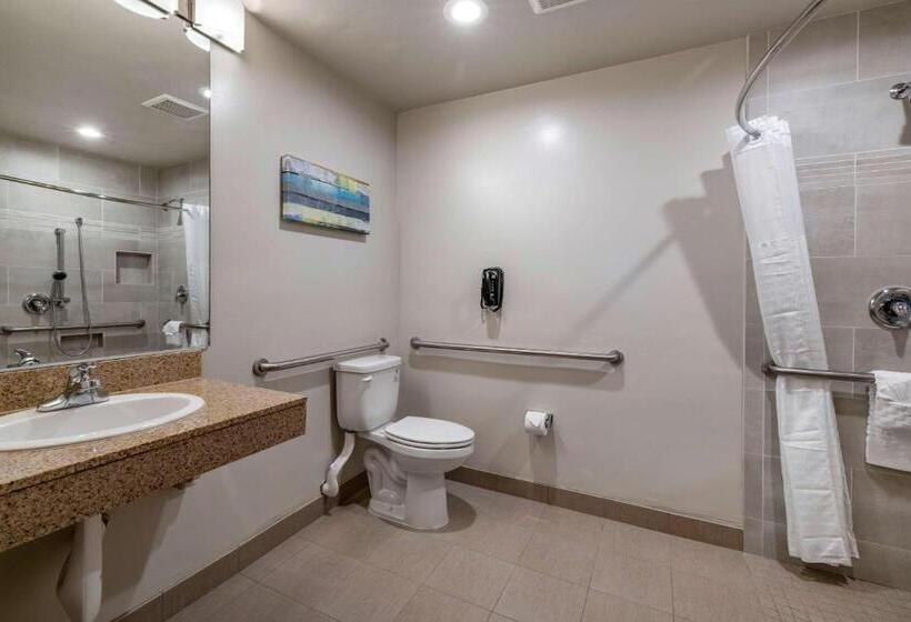 غرفة قياسية سرير كينج لذوى الإحتياجات الخاصة, Best Western Plus Park Place Inn Mini Suites