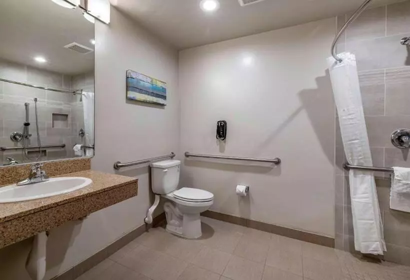 Standard-invahuone King-vuode, Best Western Plus Park Place Inn Mini Suites