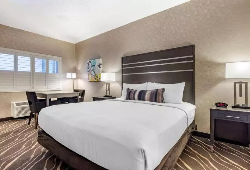 Standard-invahuone King-vuode, Best Western Plus Park Place Inn Mini Suites