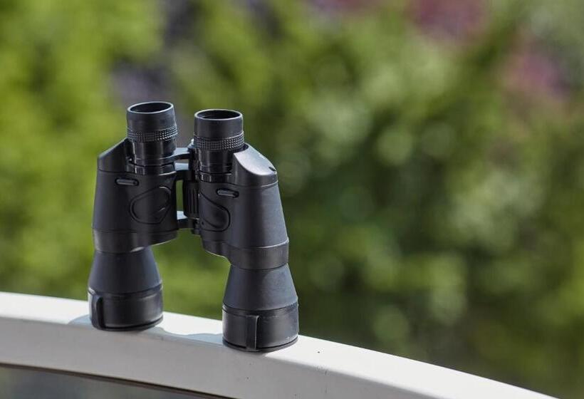 Номер Deluxe с Видом, Carlton Square