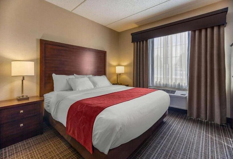 Люкс Кровать Кинг, Comfort Suites