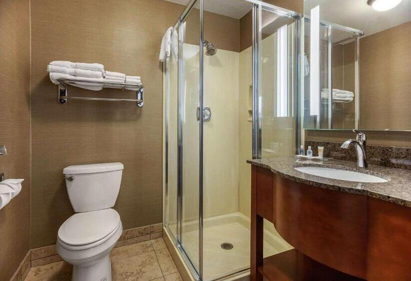 Люкс с гидромассажем, Comfort Suites