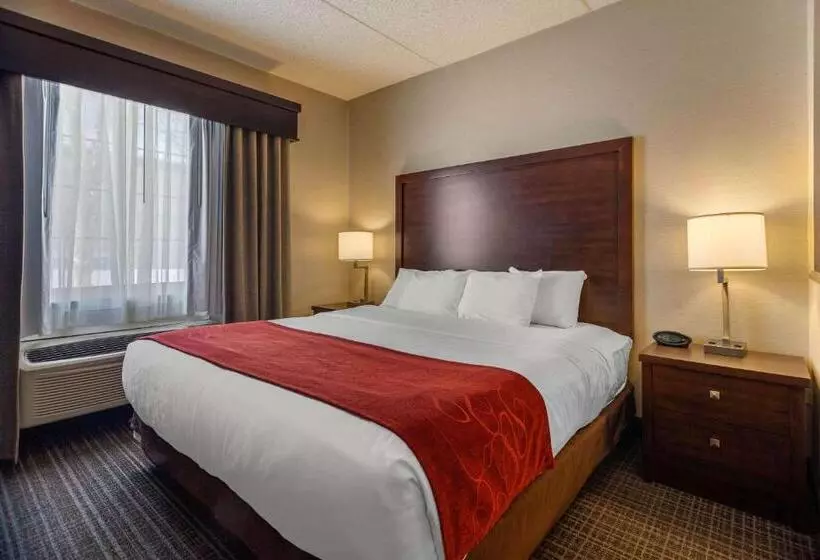 سوئیت با تخت بزرگ, Comfort Suites