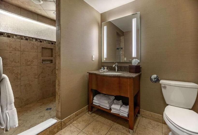 Люкс Кровать Кинг, Comfort Suites