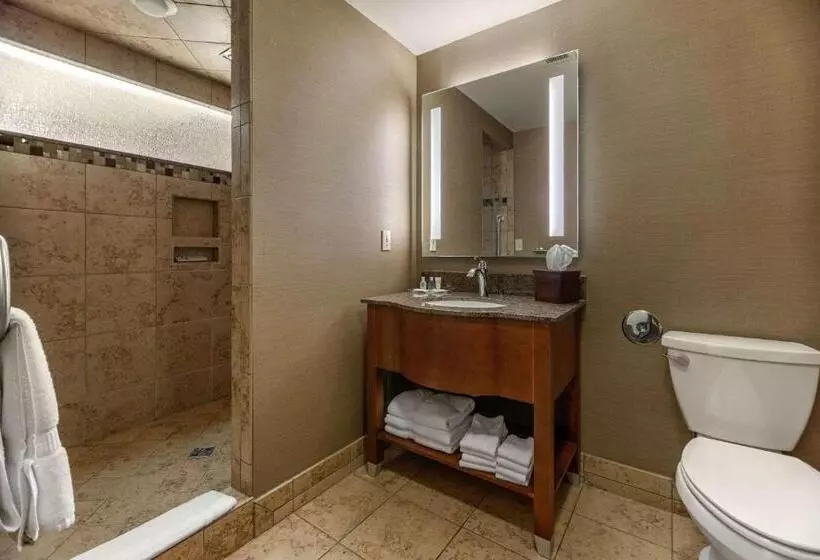 سوئیت با تخت بزرگ, Comfort Suites