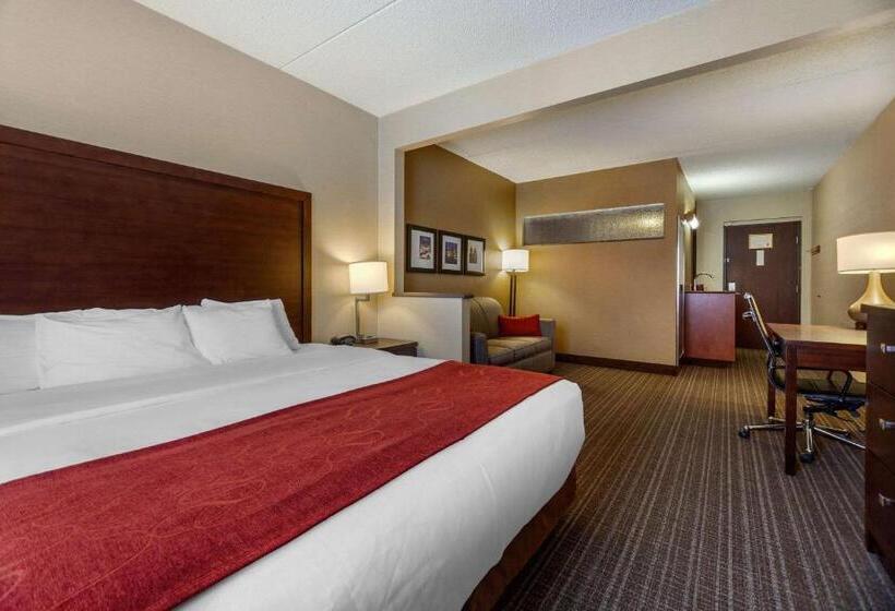 Люкс Кровать Кинг, Comfort Suites