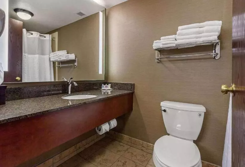 سوییت, Comfort Suites