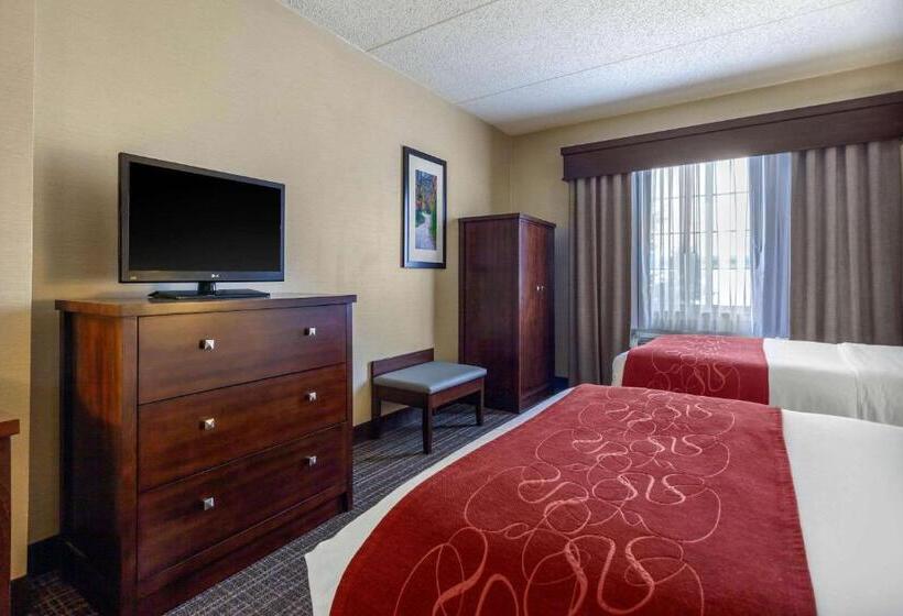 Люкс, Comfort Suites