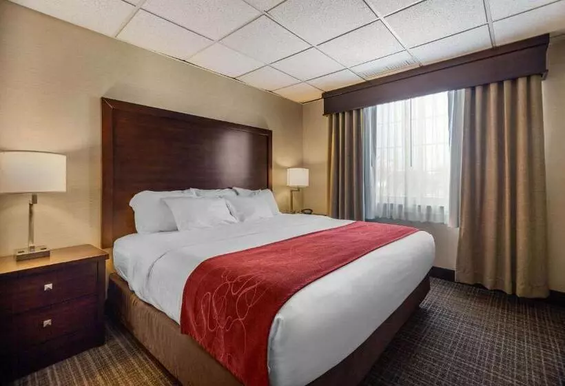 سوییت سوپریور, Comfort Suites