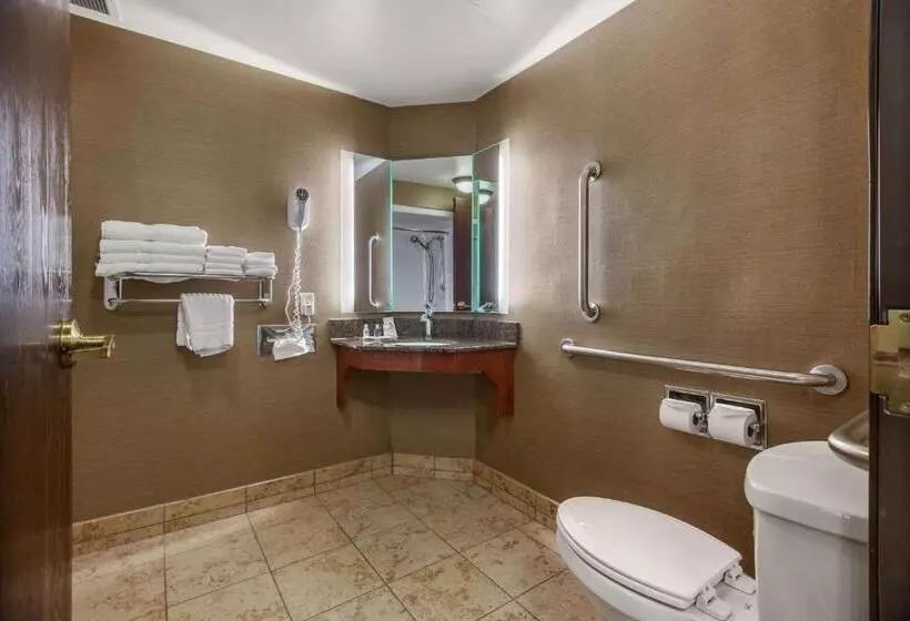 سوئیت برای معلولان, Comfort Suites