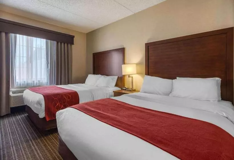 سوئیت برای معلولان, Comfort Suites