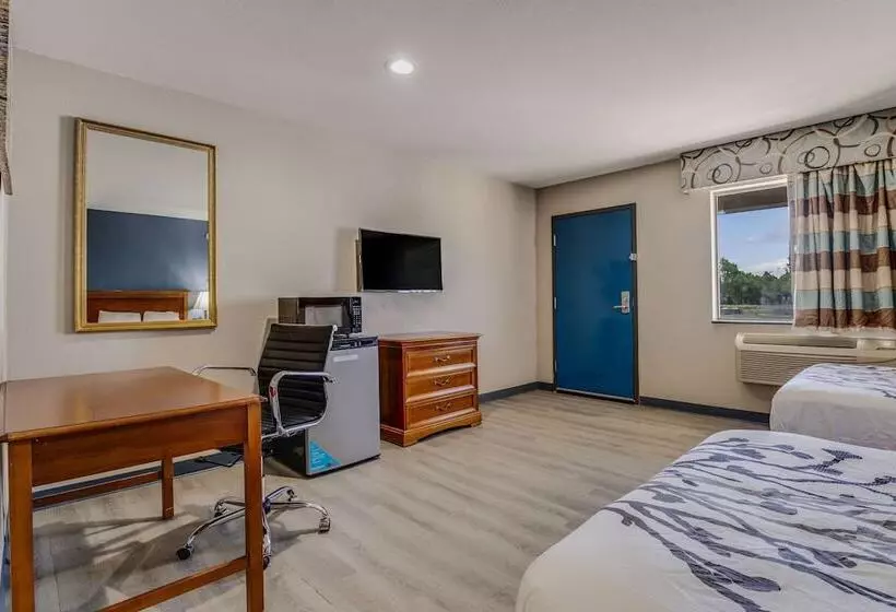 Standard-huone 2 Parivuodetta, Econo Lodge Inn & Suites