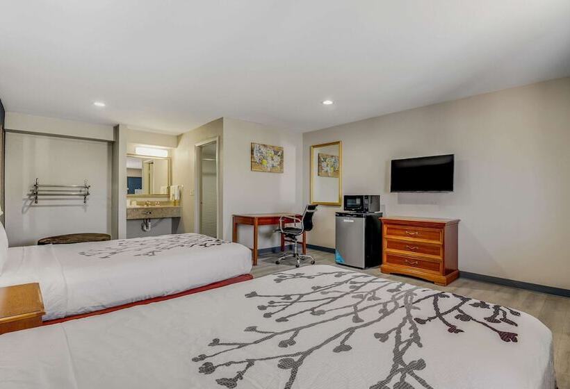 غرفه قياسيه سريرين مزدوجين, Econo Lodge Inn & Suites