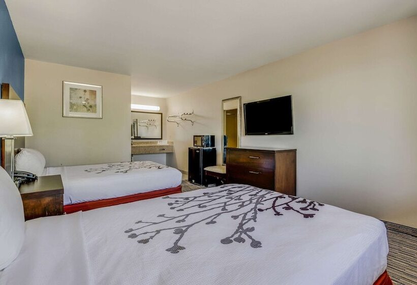 Номер Стандарт 2 Двуспальные Кровати, Econo Lodge Inn & Suites