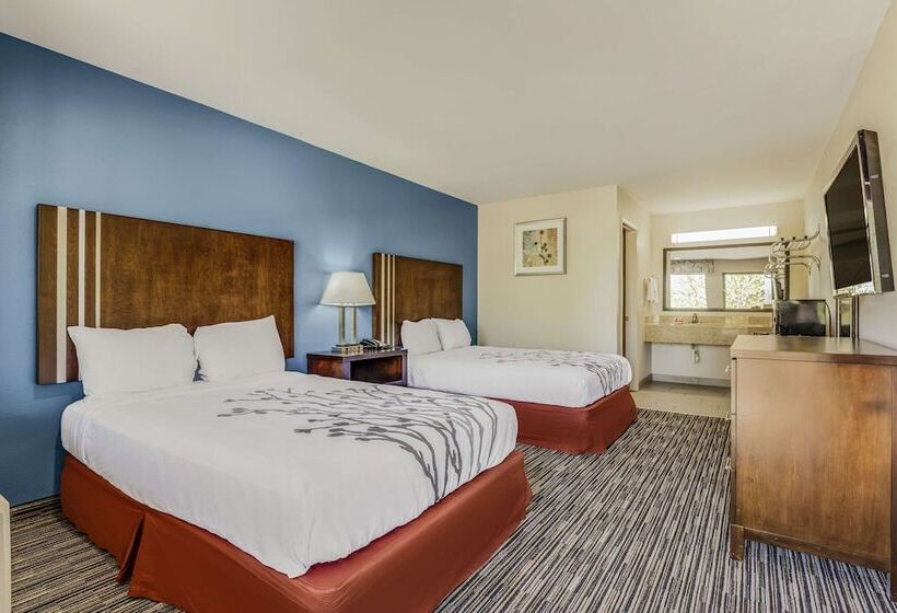 غرفه قياسيه سريرين مزدوجين, Econo Lodge Inn & Suites