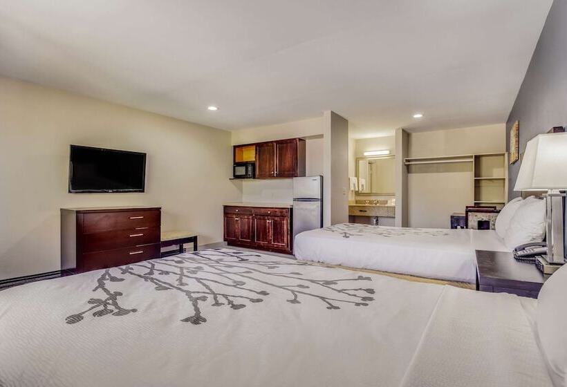 Люкс Адаптированный для Инвалидов, Econo Lodge Inn & Suites