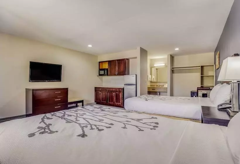 Sviitti Liikuntarajoitteisille, Econo Lodge Inn & Suites