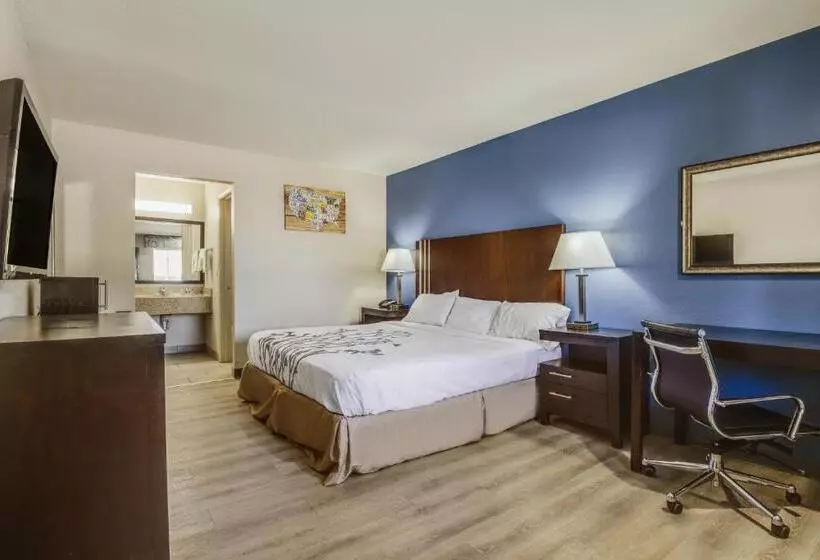 Standard-huone King-vuode, Econo Lodge Inn & Suites