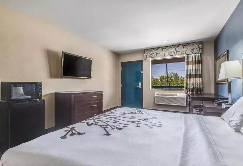 Standard-huone King-vuode, Econo Lodge Inn & Suites