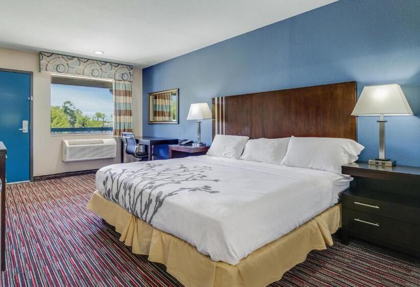 غرفة قياسية سرير كينج لذوى الإحتياجات الخاصة, Econo Lodge Inn & Suites