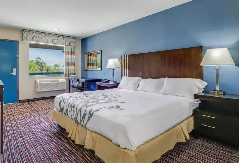 Standard-invahuone King-vuode, Econo Lodge Inn & Suites