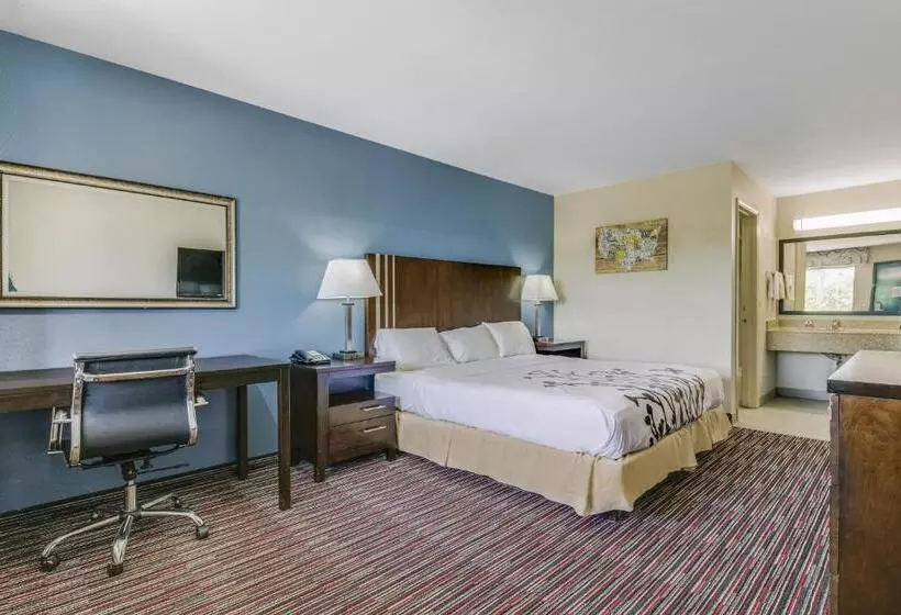 Standard-invahuone King-vuode, Econo Lodge Inn & Suites