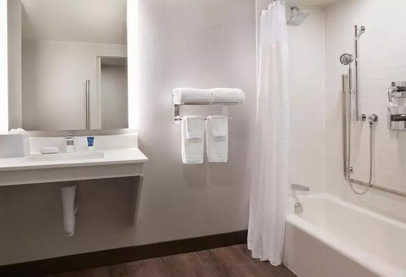 اتاق استاندارد با چشم‌انداز شهر, Four Points By Sheraton Windsor Downtown