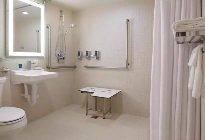اتاق استاندارد با چشم‌انداز شهر, Four Points By Sheraton Windsor Downtown