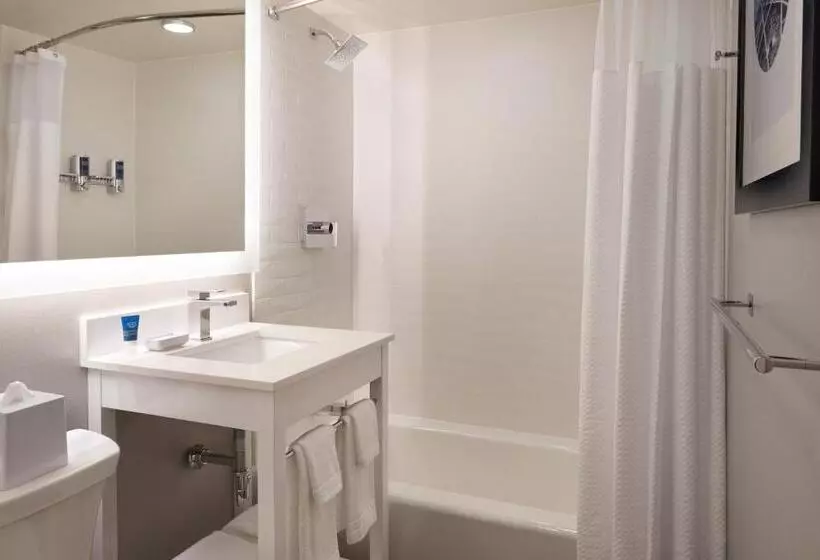 اتاق استاندارد با چشم‌انداز شهر, Four Points By Sheraton Windsor Downtown