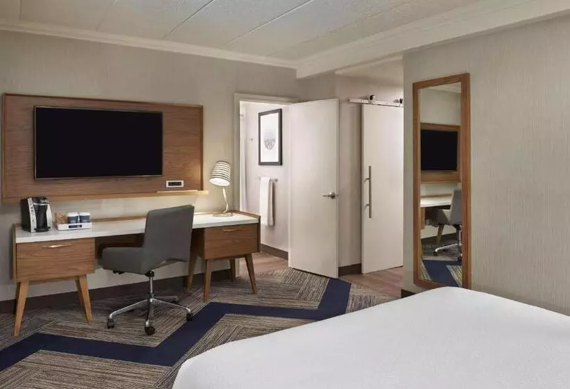 اتاق استاندارد با چشم‌انداز شهر, Four Points By Sheraton Windsor Downtown