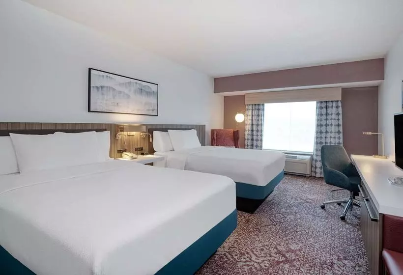 スタンダードルーム, Hilton Garden Inn Clarksburg Bridgeport