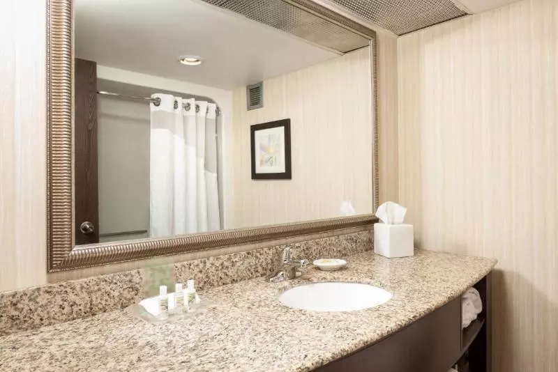 اتاق استاندارد با تخت بزرگ برای معلولان, Holiday Inn Dubuque/galena, An Ihg