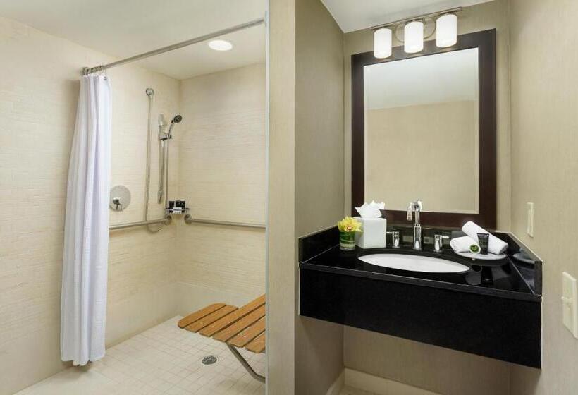 Номер Стандарт Адаптированный для Инвалидов, Hyatt Centric Arlington