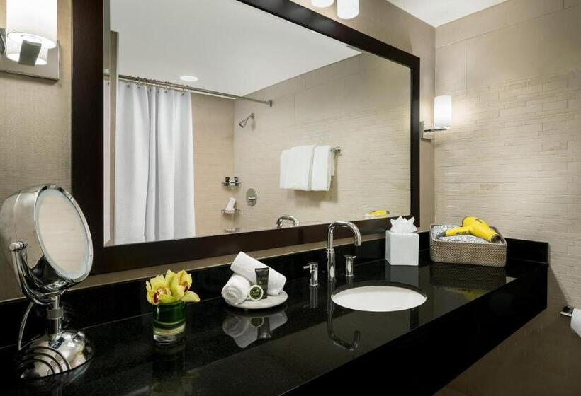 Номер Стандарт, Hyatt Centric Arlington