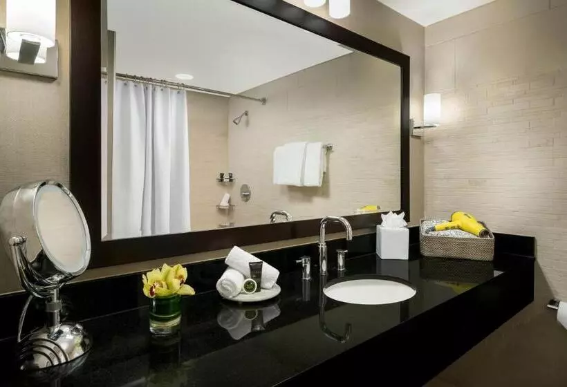 Standard-huone, Hyatt Centric Arlington