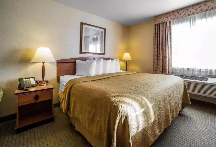 キングサイズベッドのスタンダードルーム, Quality Inn Cheyenne I25 South