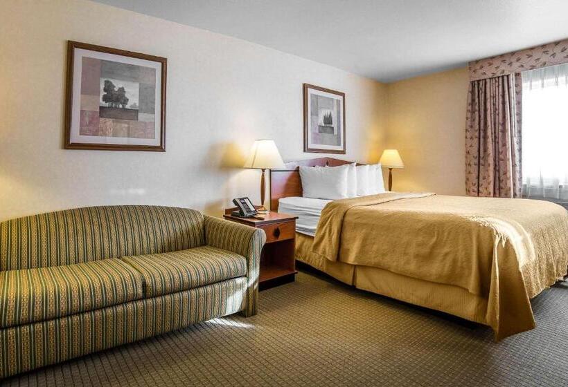キングサイズベッドのスタンダードルーム, Quality Inn Cheyenne I25 South
