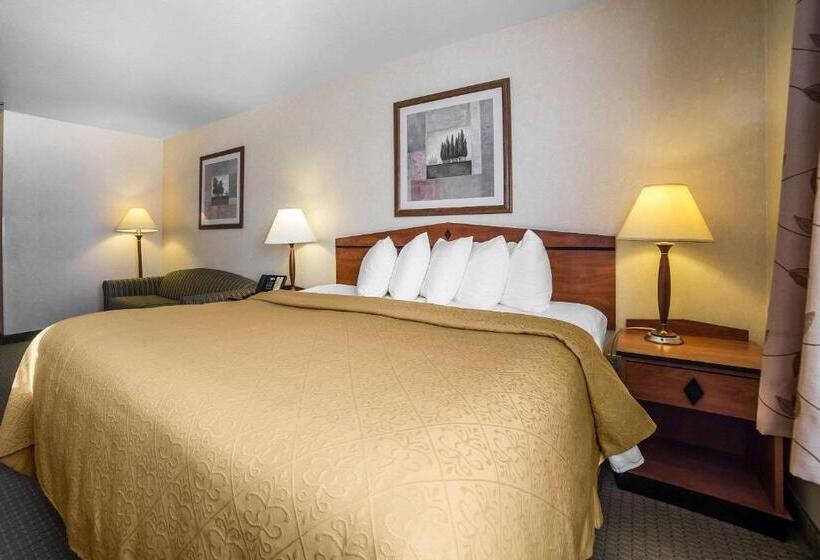 Стандартный Номер Кровать Кинг, Quality Inn Cheyenne I25 South