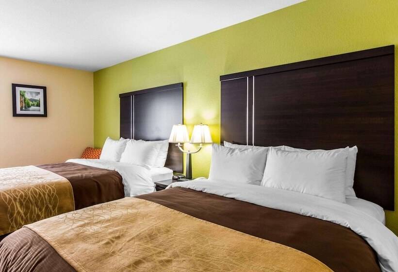 Номер Стандарт 2 Двуспальные Кровати, Quality Inn West Of Asheville