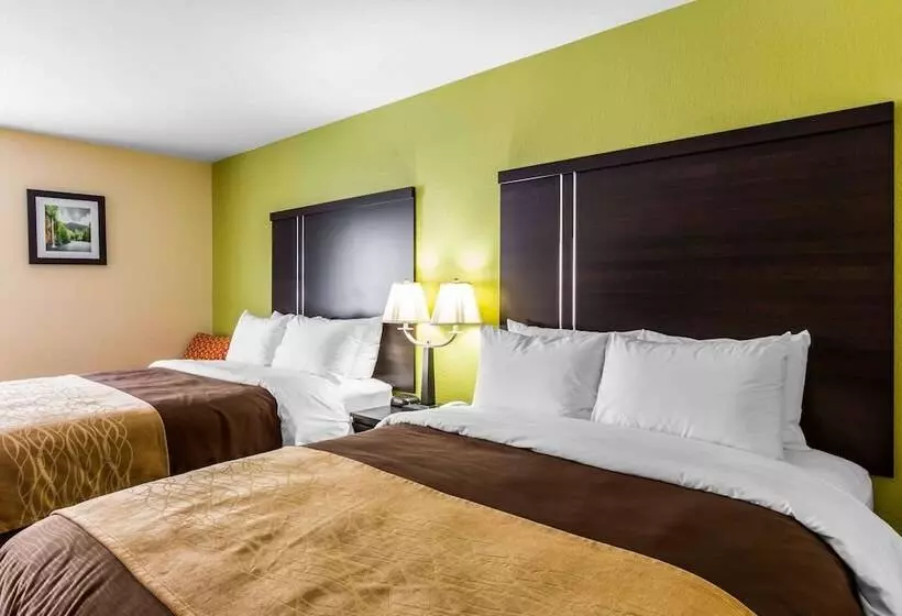 ２ダブルベッドのスタンダードルーム, Quality Inn West Of Asheville