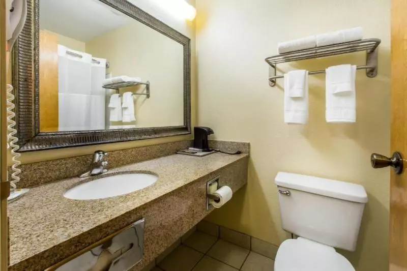 スタンダードルーム, Quality Inn West Of Asheville